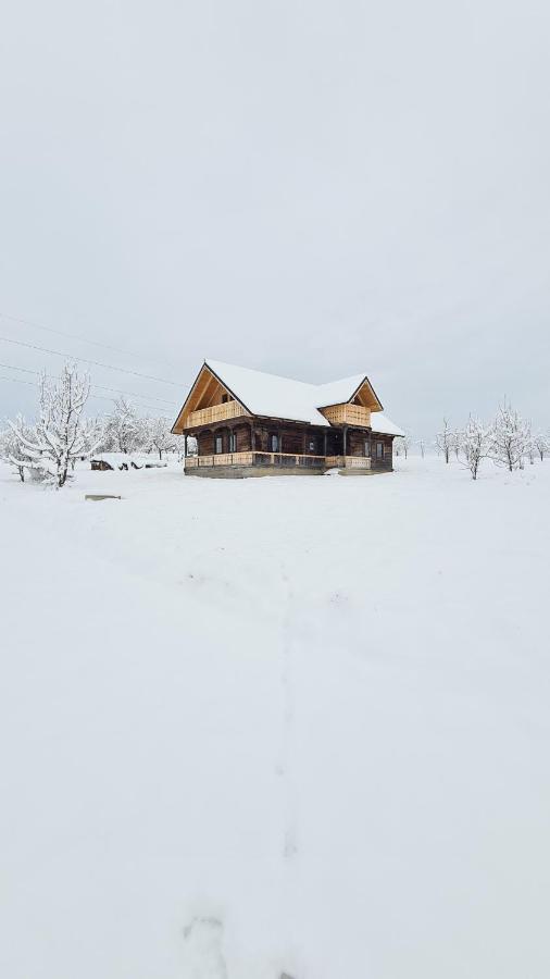 Вилла Casa Bunicilor Din Oncesti Экстерьер фото