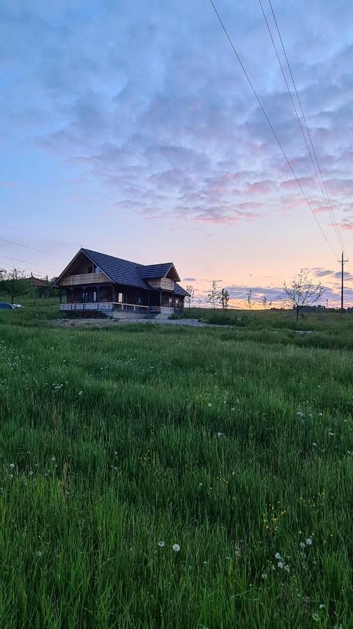 Вилла Casa Bunicilor Din Oncesti Экстерьер фото