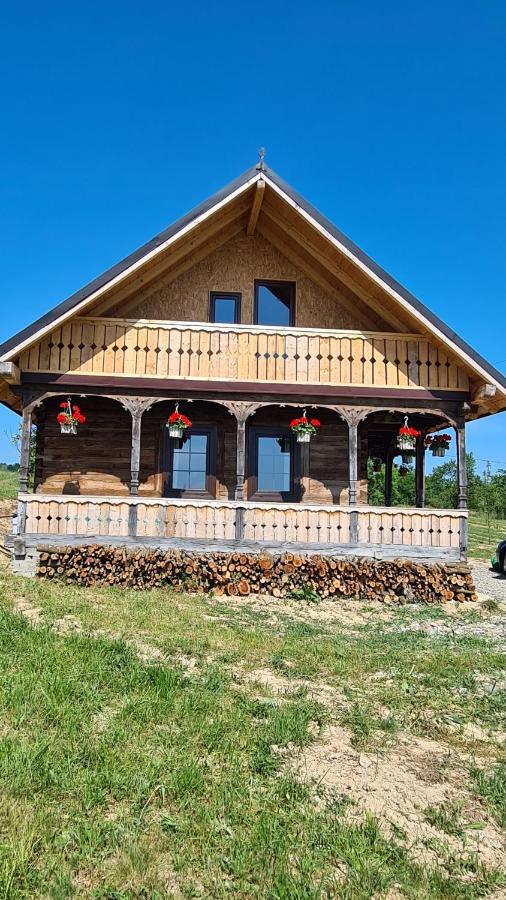 Вилла Casa Bunicilor Din Oncesti Экстерьер фото