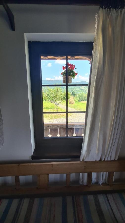 Вилла Casa Bunicilor Din Oncesti Экстерьер фото